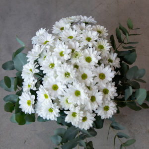 Bouquet margarides - Flors Bahí