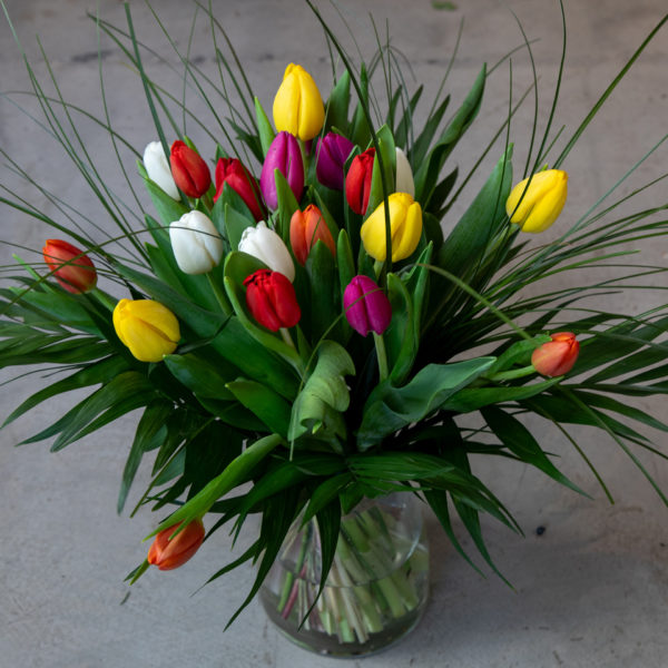Ram 20 tulipes - Flors Bahí
